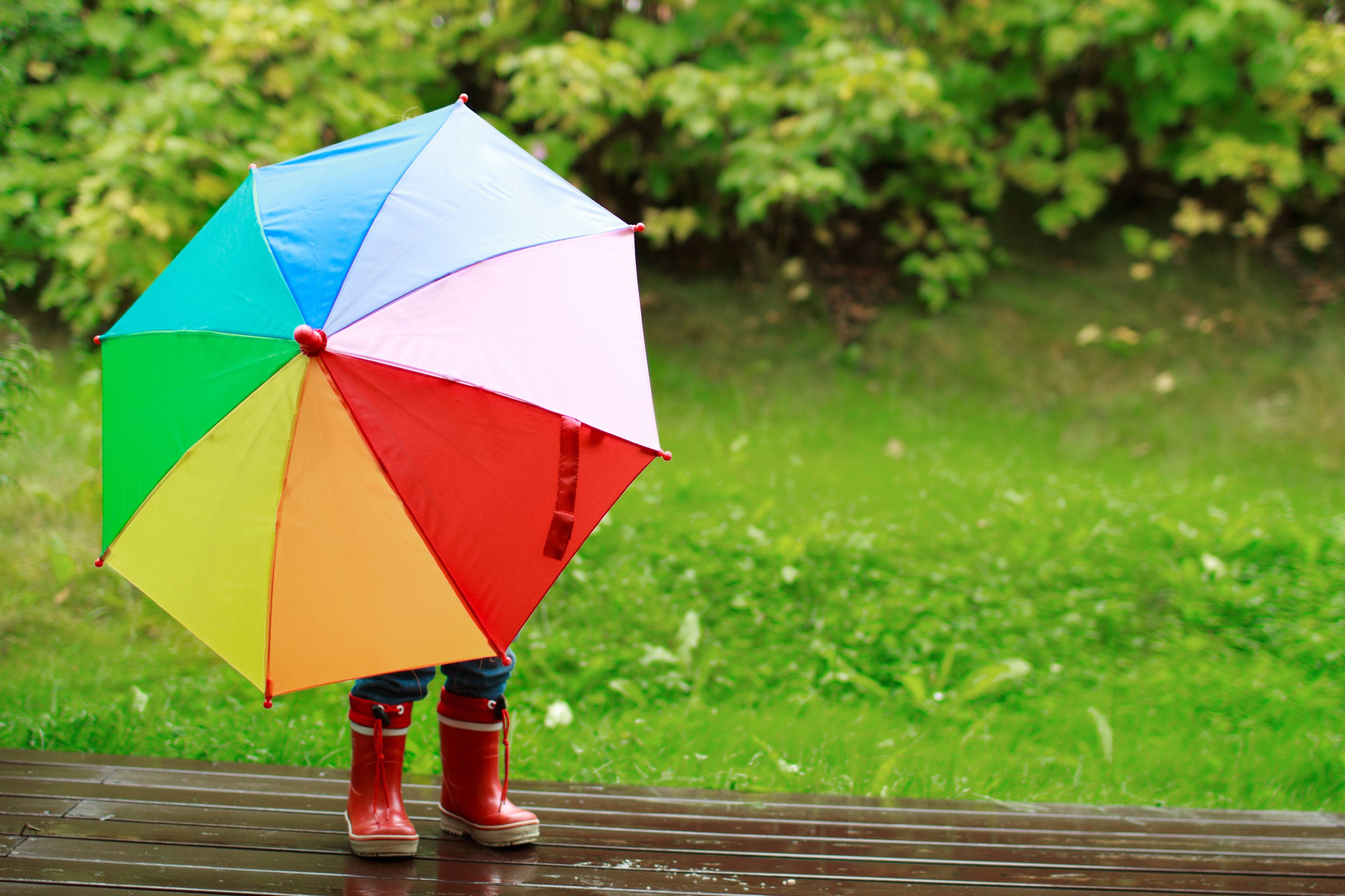 Семейство зонтик. Зонтик. Зонтики яркие. Цветные зонтики. Красивые зонтики.